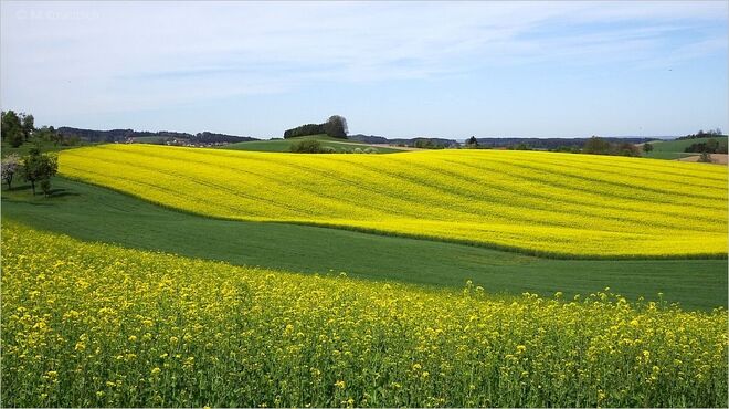 Impression aus dem Innviertel  II