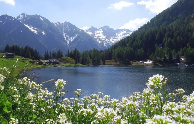 Naturjuwel Duisitzkarsee