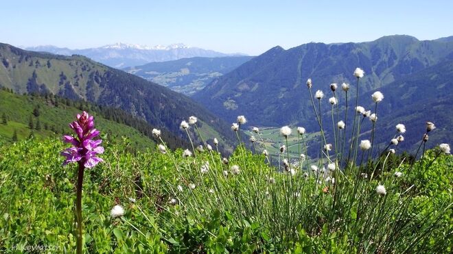 Blick ins Tal