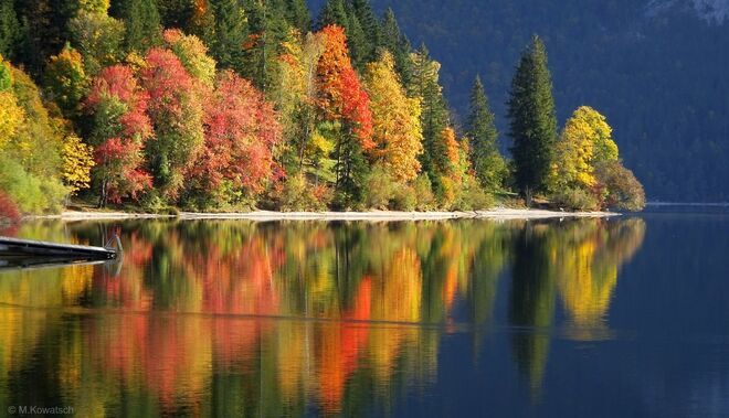 Buntes Herbstleuchten