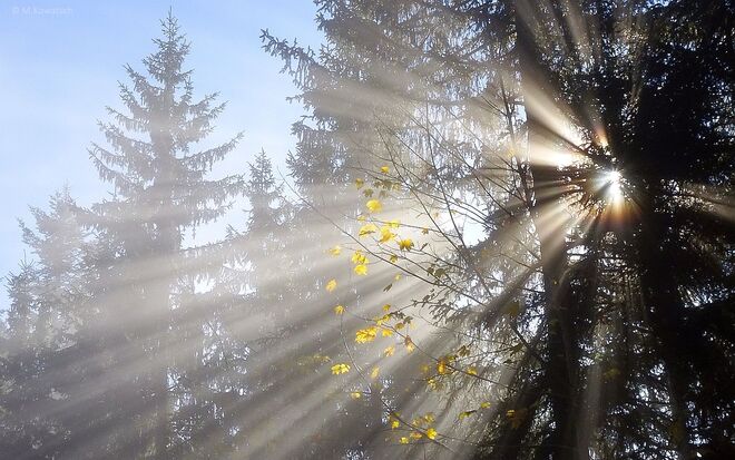 Abschied vom Herbst