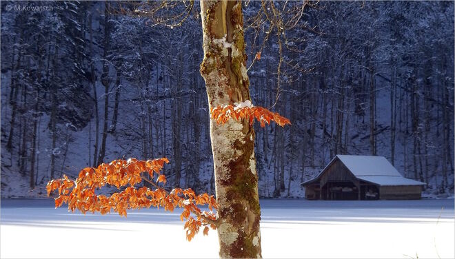 Ein Wintertag am Toplitzsee