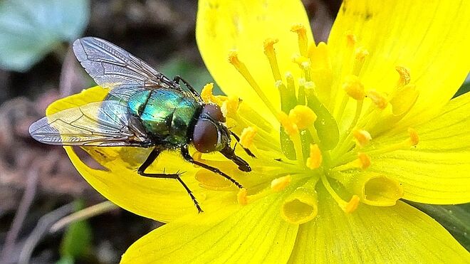 Endlich Frühling