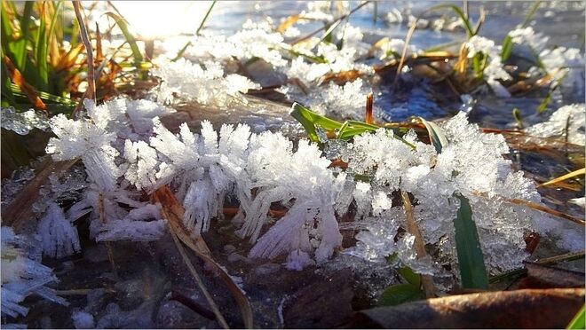 Eiskristalle im Licht der Nachmittagssonne