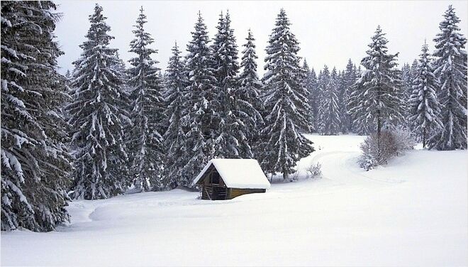 Winterlandschaft