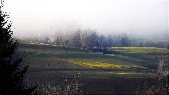 Morgensonne durchdringt den Nebel