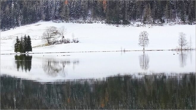 Schneelandschaft gespiegelt