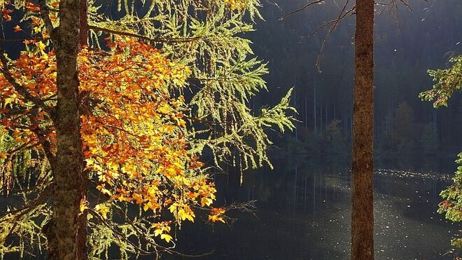 Herbstimpression am Ödensee