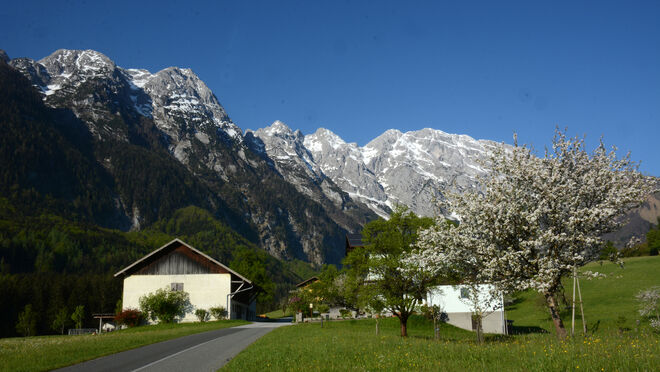 Frühling