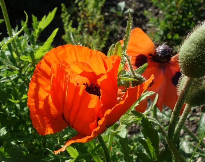. . . heute - gestern - morgen . . .