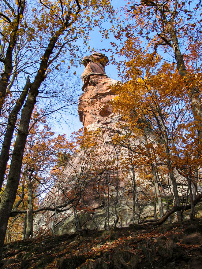 Der Trifels im Herbst