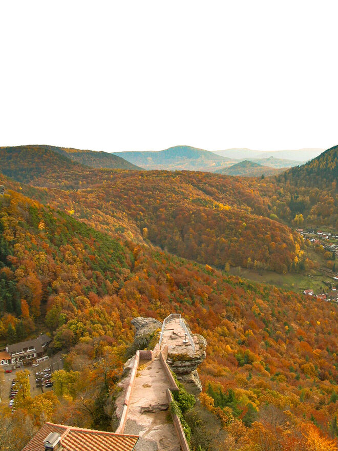 Herbst in der Pfalz (2)