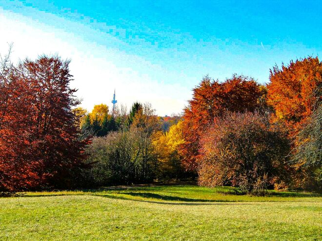 Herbstpark mit Aussicht
