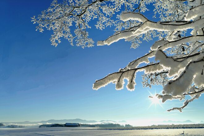 Winterimpressionen