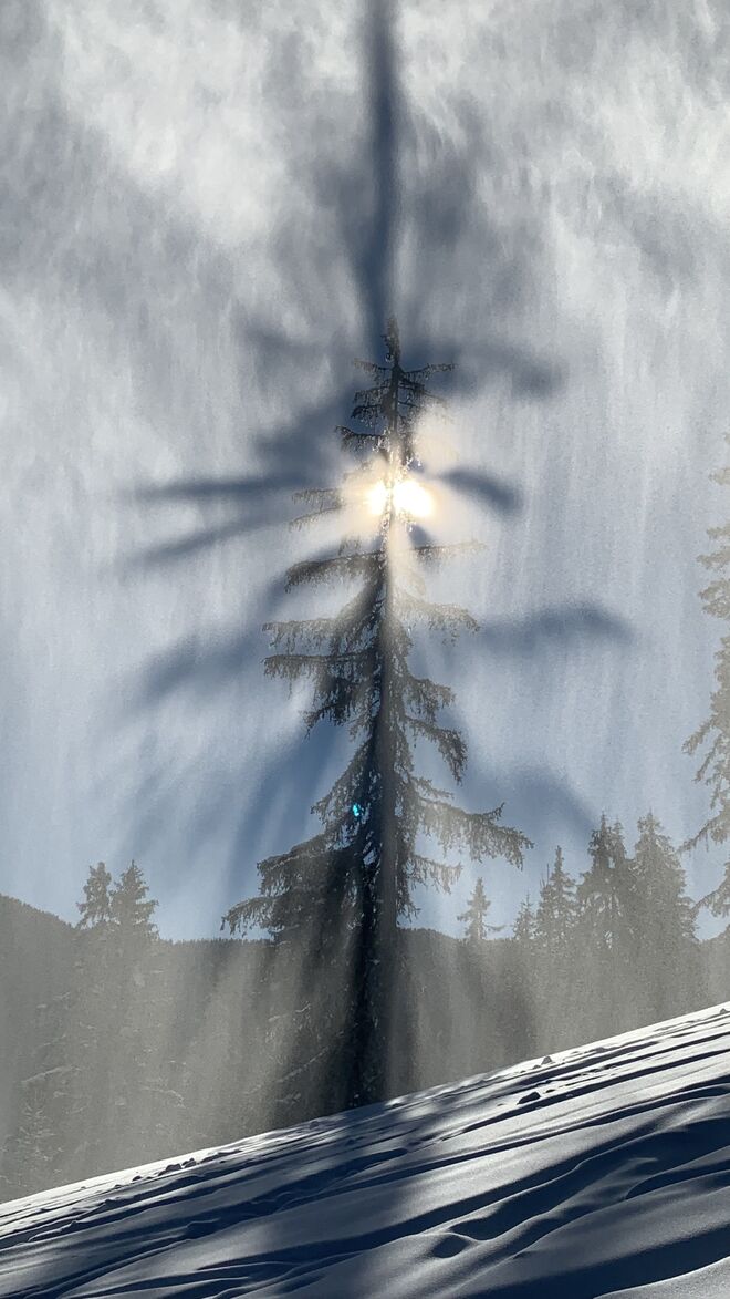 Schneegestöber