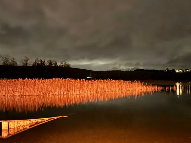 #wallersee_am_morgen ...am Abend