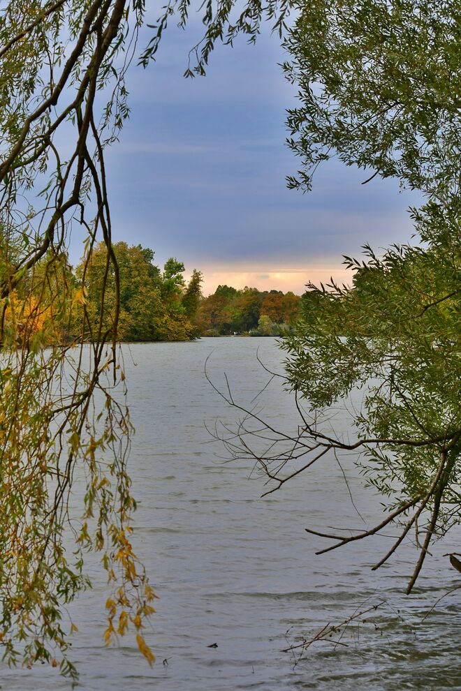 Herbstlicher Leopoldskroner Weiher