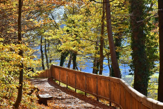 Herbstwanderung am Mönchsberg