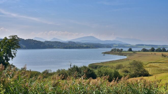 Blick auf das Wallersee Ostufer