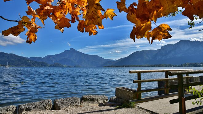 Herbst am Mondsee (Teil 2)