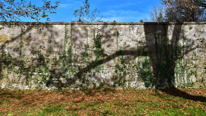 Schattenspiele (Teil 2)
