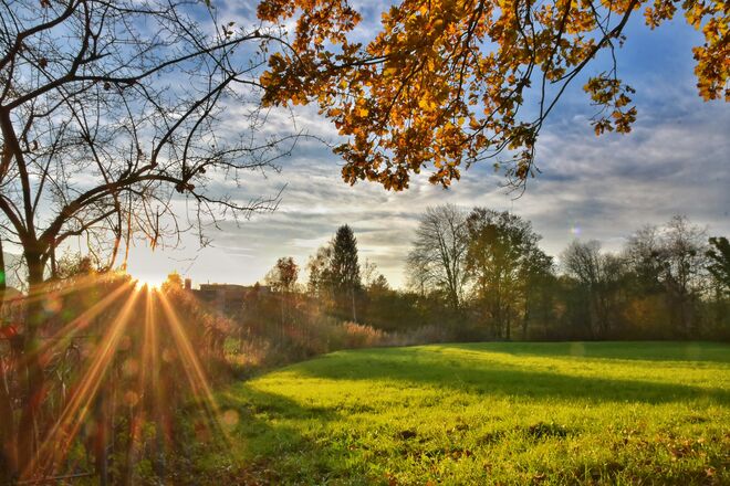 Spätherbstsonne