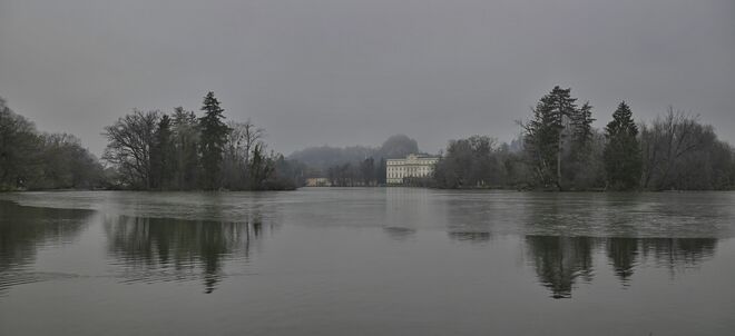 Nebelstimmung am Leopoldskroner Weiher