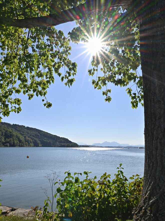 Herrlicher Spätsommertag am Wallersee