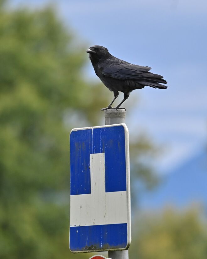 Do geht's ned weida