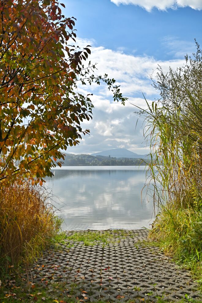 Herbstlicher Durchblick auf den Wallersee (1)