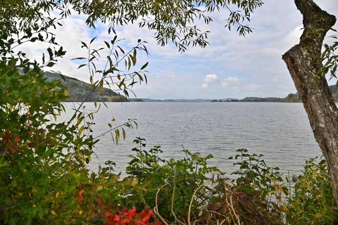 Herbstlicher Durchblick auf den Wallersee (2)
