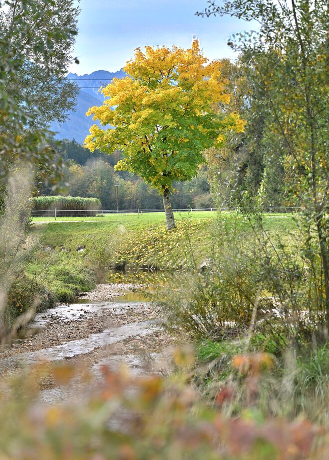 Herbst an der Glan