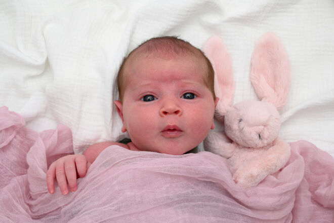 Emilia Marie Ebner