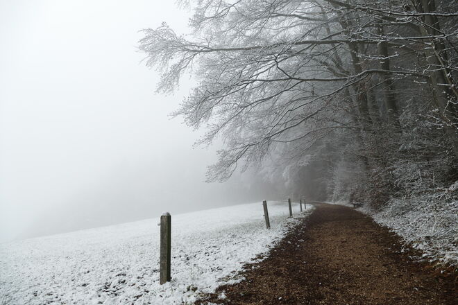 Leicht winterliche und nebelige Idylle am Buchberg