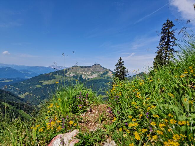 Blick vom Reinsbergsteig