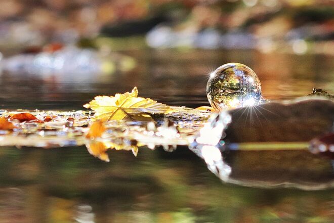 Goldener Herbst