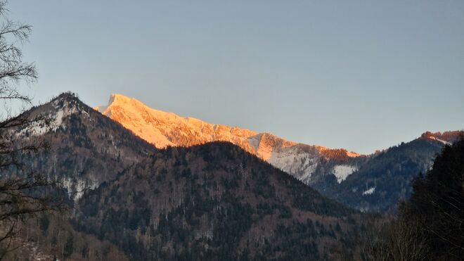 Schafberg in der Abendsonne