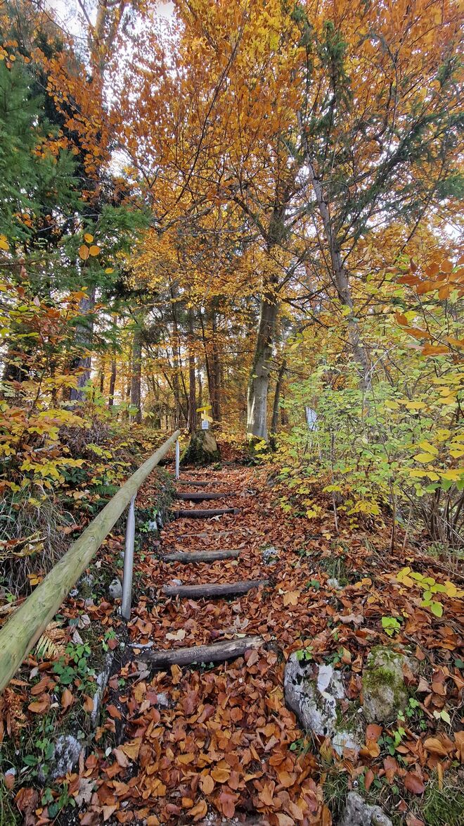Herbststimmung