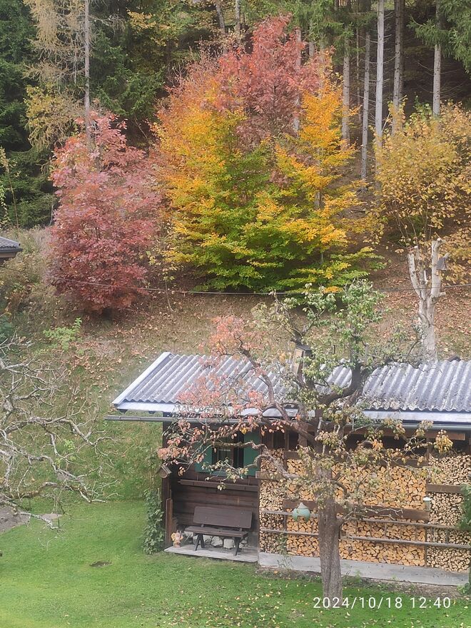 "Indian summer" auf unserem Hang hinterm Haus
