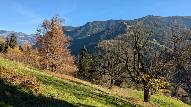Blick von der Viehhofener Sonnseite zur Schmittenhöhe