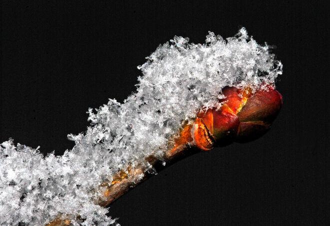 Und wieder Schnee...