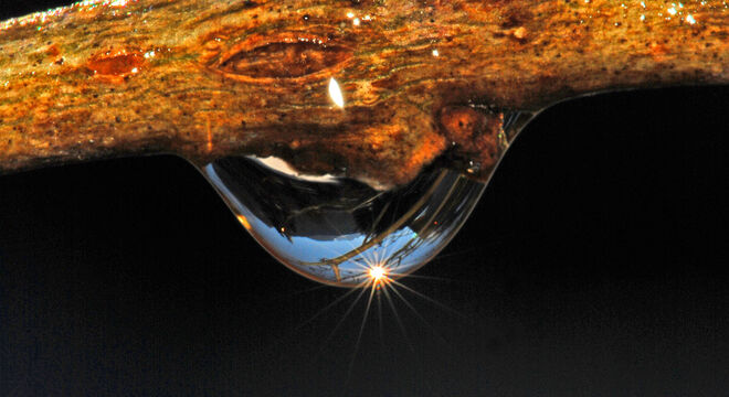 "Verkehrte" Welt in einem Wassertropfen
