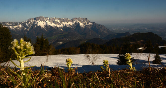 Vorfrühling am Roßfeld