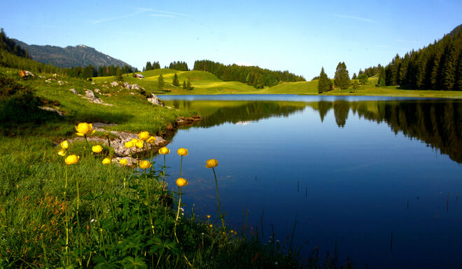 Seewaldsee
