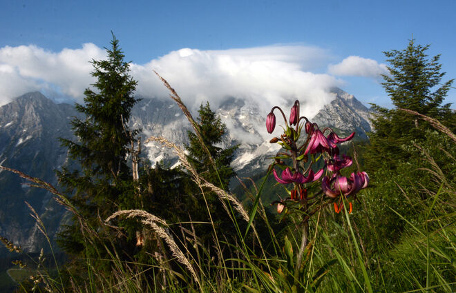 H.Göll in Wolken gehüllt
