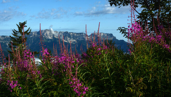 Untersbergblick...