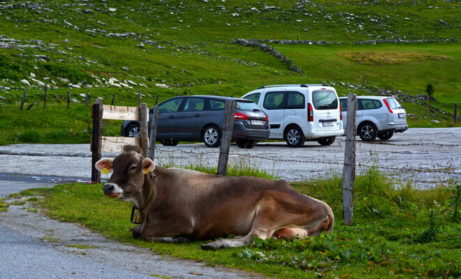 Parkplatz !!!
