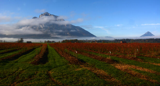 Untersbergblick...