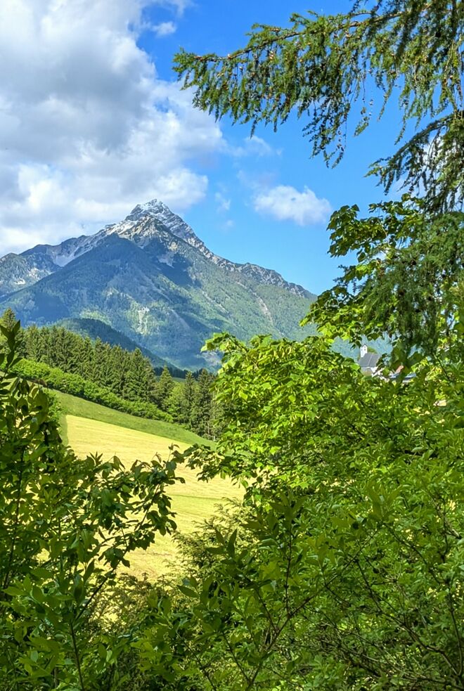 . . . vielfältiges Maigrün . . . .