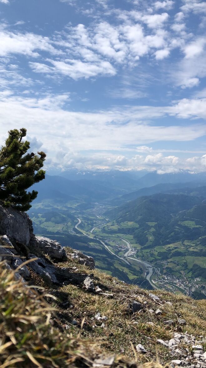 Weitblick